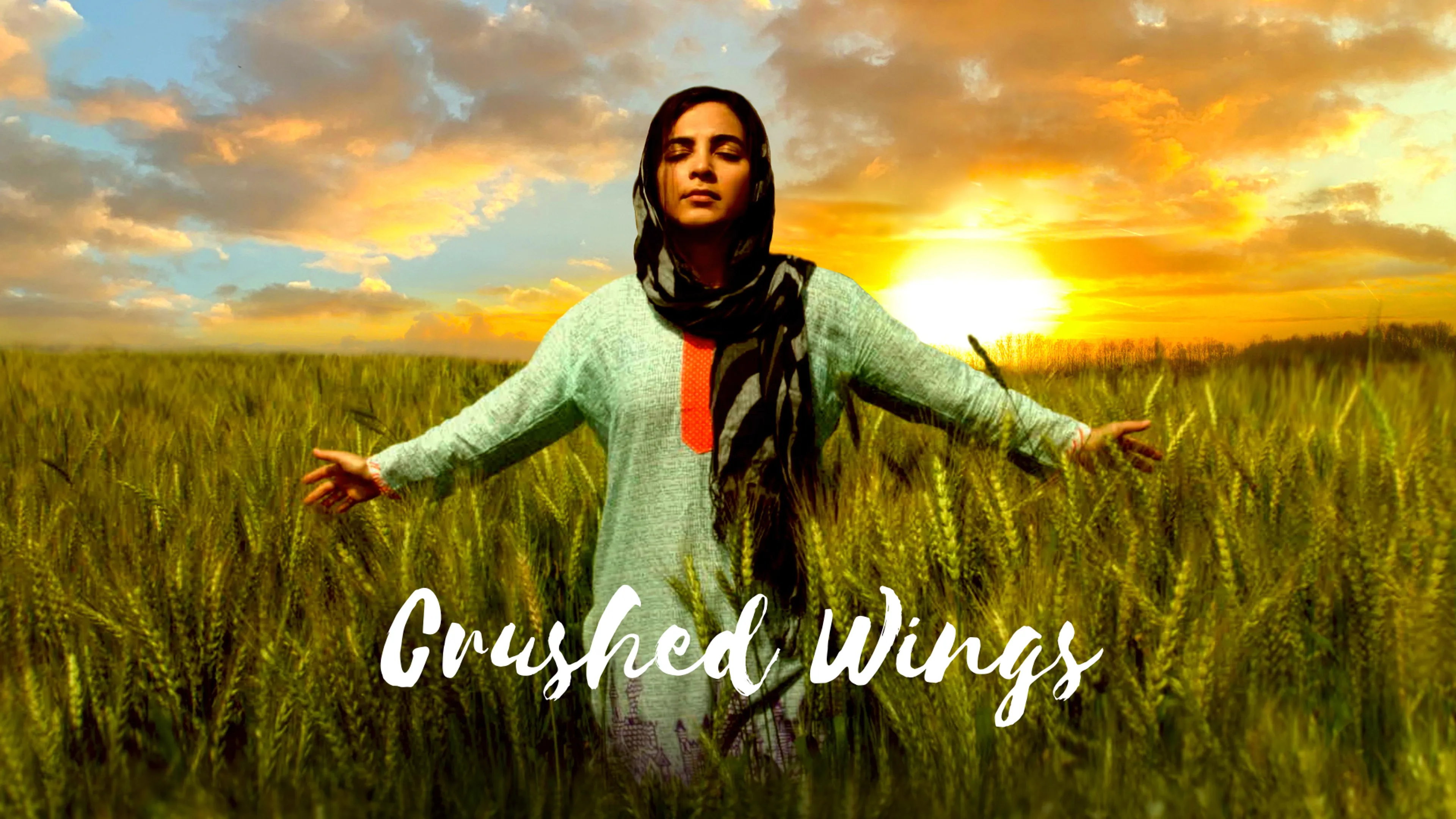 Crushed Wings poster